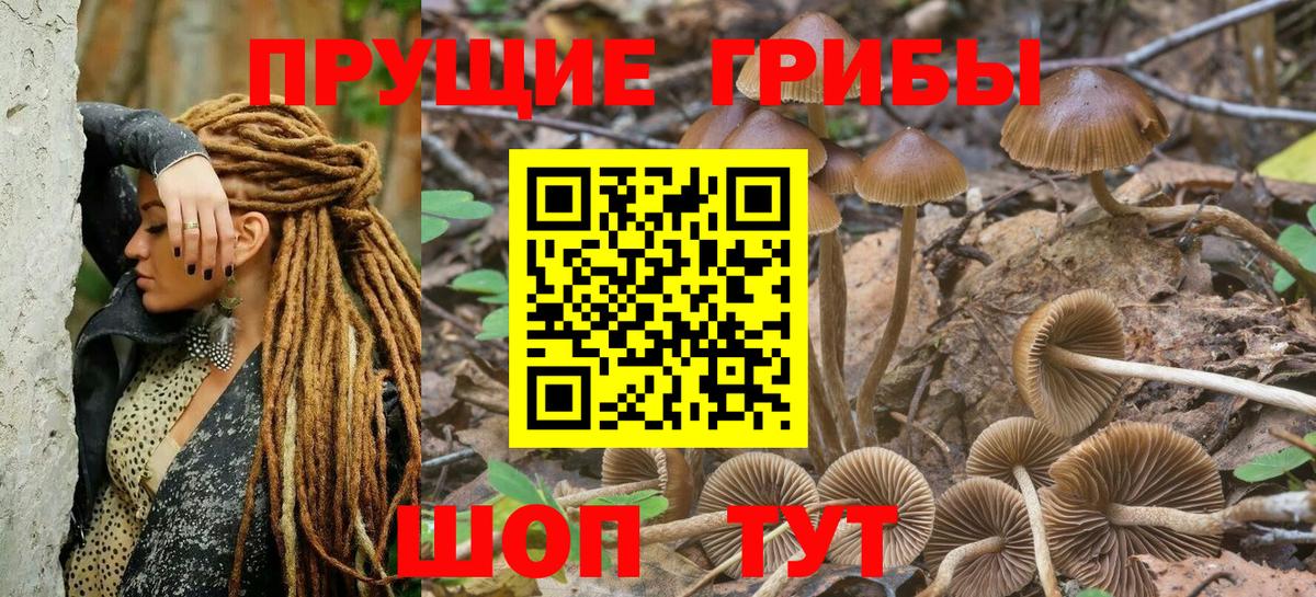 Кушва  Галлюциногенные грибы GOLDEN TEACHER  Вход с VPN  Псилоцибиновые грибы прущие грибы 