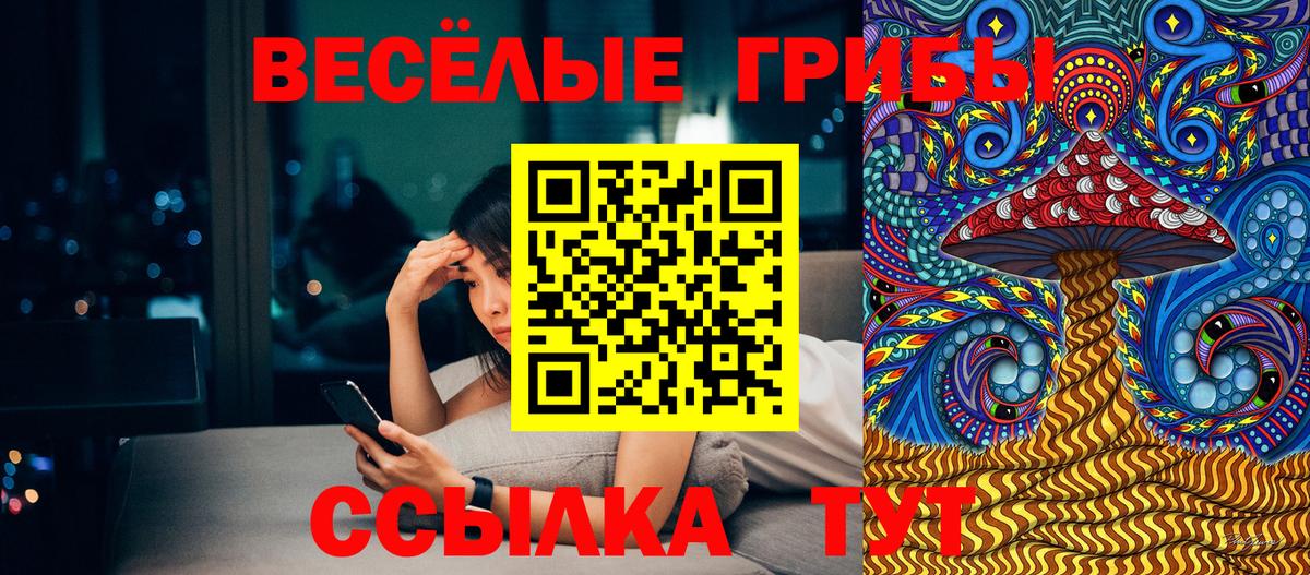 Псилоцибиновые грибы мицелий Кушва
